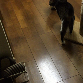 ただいま〜の画像