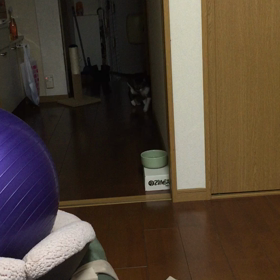 まだまだ食事中の画像