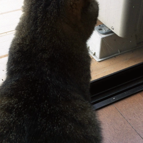 おはよー5の画像
