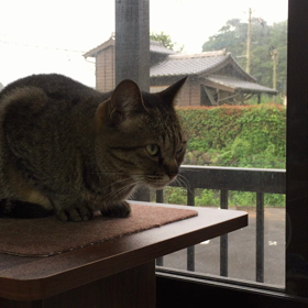 いつものお外パトロールの画像
