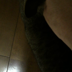 何かなぁ〜？ 2の画像