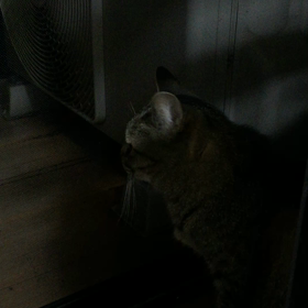 ただいま〜2の画像