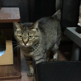 こっちも比較的機嫌が良い。の画像