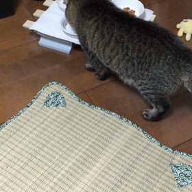 早よ帰ったのにの画像