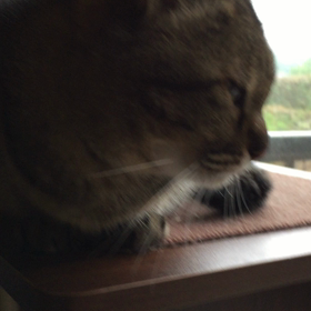 朝〜 3の画像