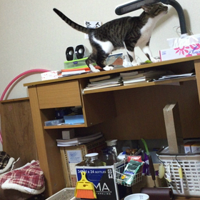 夜〜3の画像