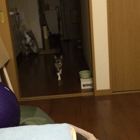 夜〜 2の画像