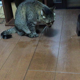 ごちそーさまぁの画像