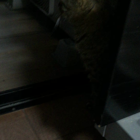 ただいま〜 2の画像