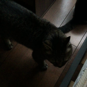 きょうも早起き〜の画像