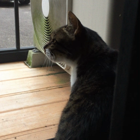 朝〜2の画像