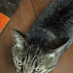 夜〜 テンション高めの画像