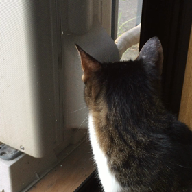 おはよー6の画像