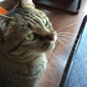 朝〜 3の画像