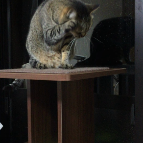ごちそうさまどした。の画像