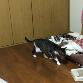 朝〜 4の画像