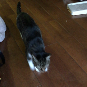 朝 4の画像