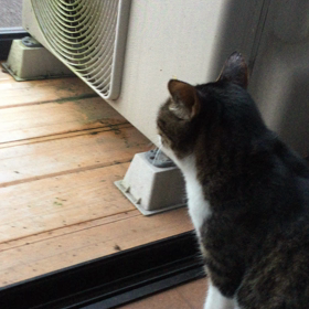 からの、おはよーの画像