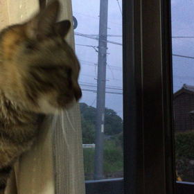 夜〜の画像