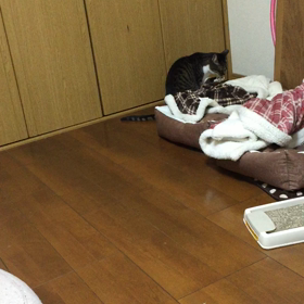 朝〜 5の画像