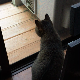 朝パトロール 担当すぅちんの画像