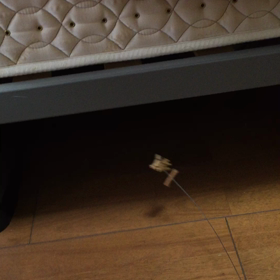 振ってみた9の画像