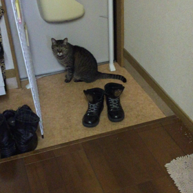 出かけるんか？の画像
