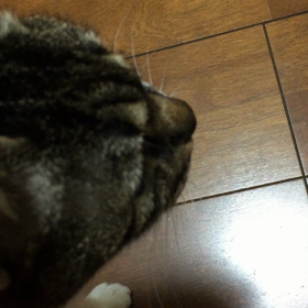昨夜 4の画像
