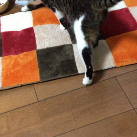 昨夜の〜の画像