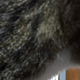 夜〜2の画像