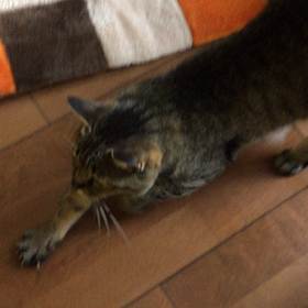 で、すぅちんは・・の画像