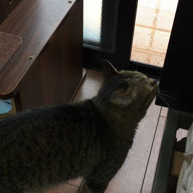 上手になりました。の画像