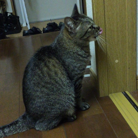 ナデナデ・・の画像