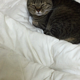 ただいま〜2の画像