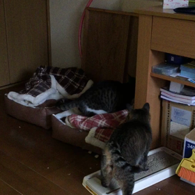 朝〜6の画像