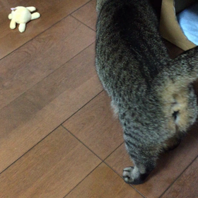 からの、寝るんかい！！の画像
