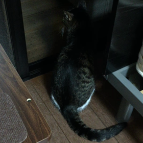 夜〜 チェックは怠らずの画像