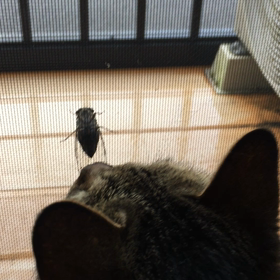 ご挨拶の画像
