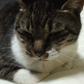 ただいま〜2の画像