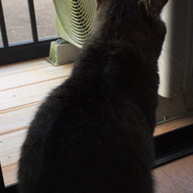 朝〜 2の画像