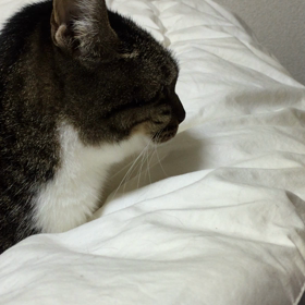 生意気な・・・の画像