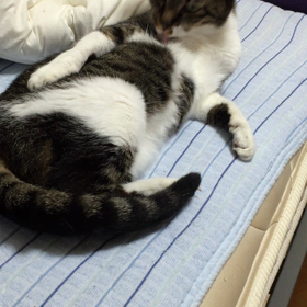 おっさんの画像