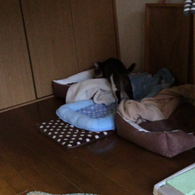 定位置の画像