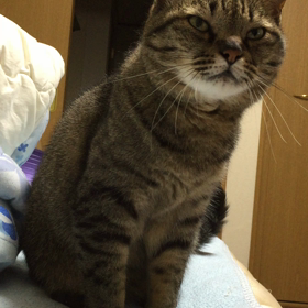 朝〜 8の画像