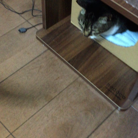 おはよーの画像