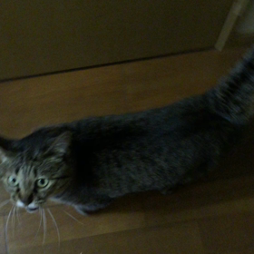 何かなぁ〜？ 3の画像