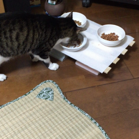 みぃたん 食べる食べるの画像