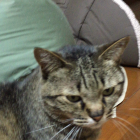 夜〜 のんびりと 1の画像