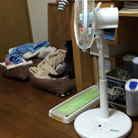 なにやら文句をたれるみぃたんの画像