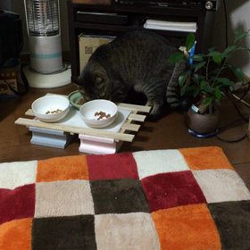 ただいま〜2の画像